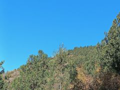 -北京十三陵国家森林公园蟒山景区