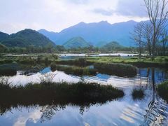 -大九湖