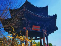 -杭州半山国家森林公园