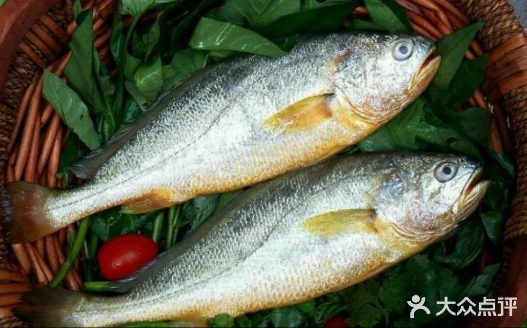北京秋日|京味菜里的干烧大黄鱼