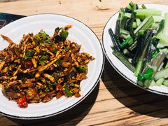 折耳根拌猪耳朵-树厨贵州菜(大十字店)