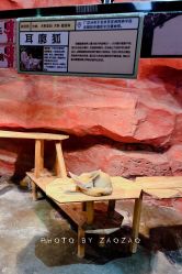 -Zoolung Zoolung动物主题公园(海信广场店)