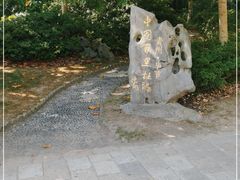 -上海滨江森林公园
