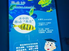-海合安青岛极地海洋公园