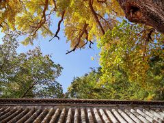 -青岛崂山太清宫