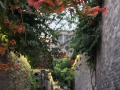 -回龙窝历史文化街区