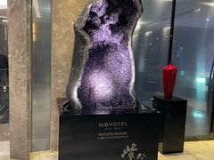 -玄武苏宁诺富特酒店·紫金轩中餐厅