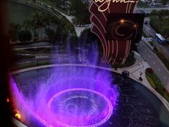 -永利澳门酒店