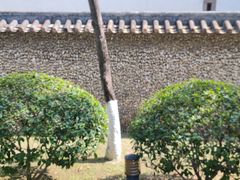 -碧江金楼