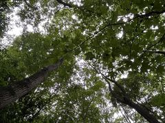-凤栖山