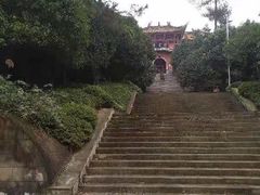 -铁山坪森林公园