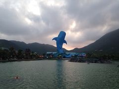 -广东省拱北口岸中国旅行社(华宾营业部)