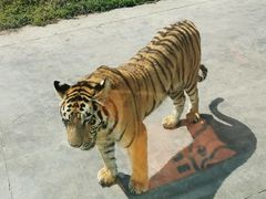 -西安秦岭野生动物园