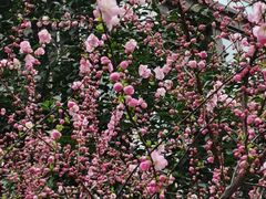 -合和大唐足道·泰式·SPA (凤城五路店)