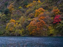 -叠溪松坪沟景区