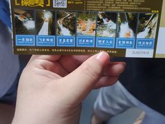 -将军关探险漂流