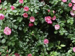 -春暖花开(西溪店)