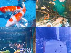 -顺德南宏海立方海洋公园