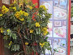 -Cafe Alice咖啡爱丽丝(奥城店)