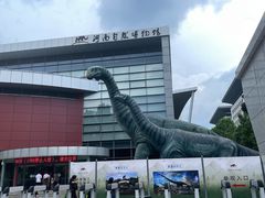 -河南自然博物馆
