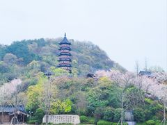 -牛首山文化旅游区