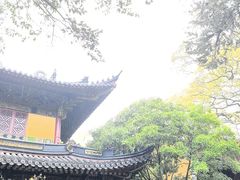 -普陀山风景名胜区-法雨禅寺