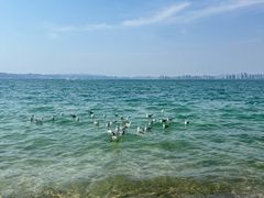 -刘公岛景区