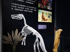 -中华赏石园