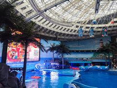 -海合安成都极地海洋公园