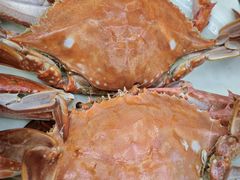 清蒸当地海蟹-庆山饭店·海鲜饺子家常菜(北戴河黑石路店)