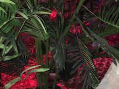 -青藤汗蒸时代会所