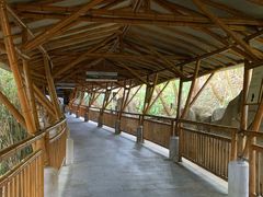景点-海口观澜湖火山温泉谷