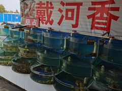 -叶存利海鲜大馅饺子(东戴河止锚湾店)