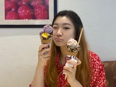 -哈根达斯(石家庄北国店)
