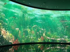 -中国湿地博物馆