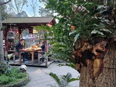 -青城甲(青城山店)