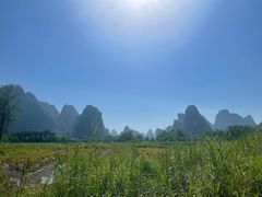 -明仕田园