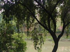 -怡海公园(桂城街道)