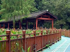 -重庆彩云湖湿地公园