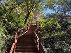 -大岭沟猕猴桃谷风景区