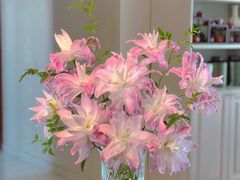 -何兮花店·气球派对鲜花店(马桥银春路万科城店)