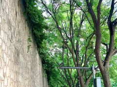 -西安电影制片厂