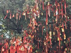 -国恩寺