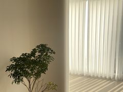 -有肆年整体软装设计 窗帘墙布硬包挂画(红星美凯龙双楠店)