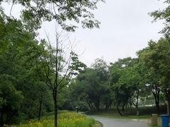 -盘龙城国家考古遗址公园