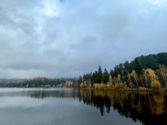 -五营红松林海景区