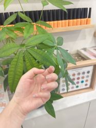 -MB·nail美甲美睫