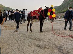 -陕西黄河壶口瀑布旅游区