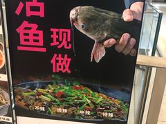 -老板恋上鱼(恒隆广场店)