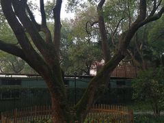 -徐家汇源景区-衡山公园